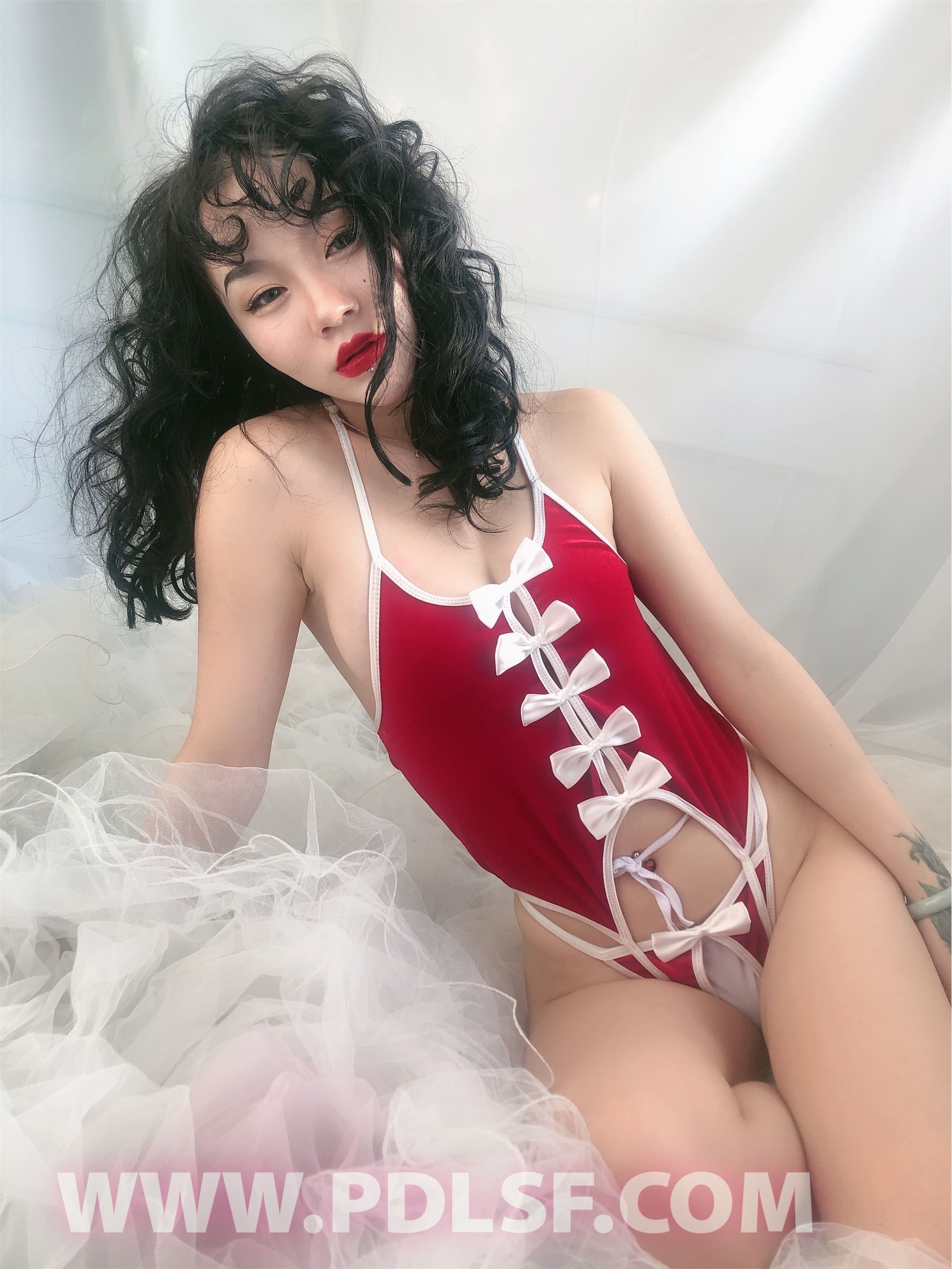 PDL潘多拉 2020.02.03 专辑No.276